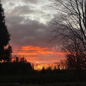 Meet your Posher, Jack